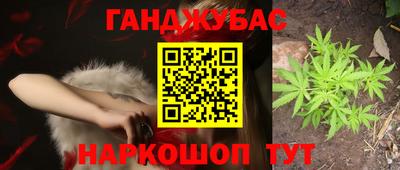 крисы Малгобек