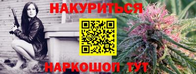 крисы Малгобек