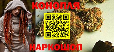 крисы Малгобек