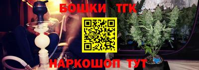 крисы Малгобек