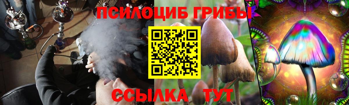 Псилоцибиновые грибы MAGIC MUSHROOMS  Галлюциногенные грибы ЛСД  Тулун  Вход с VPN 